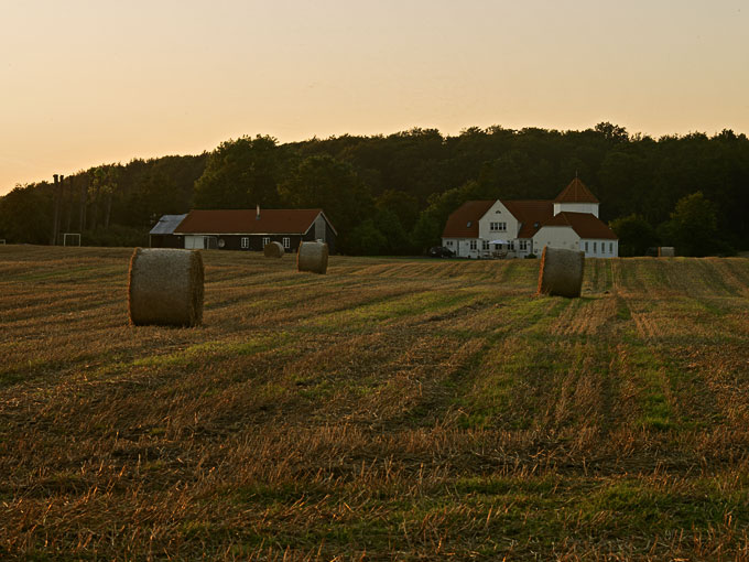 Vejstruprød