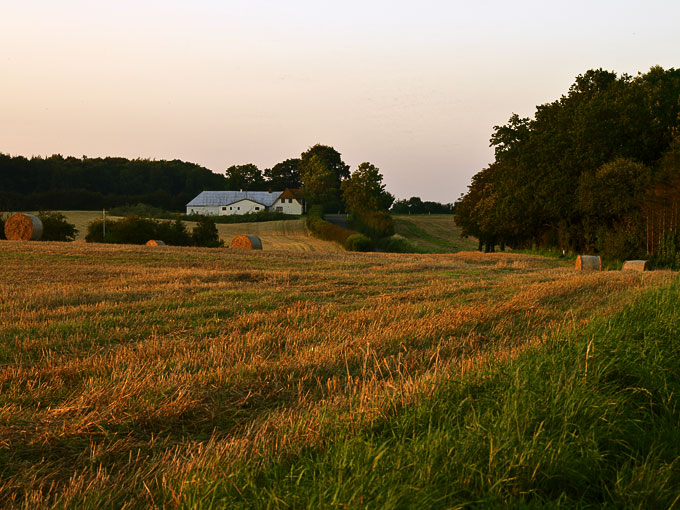 Vejstruprød