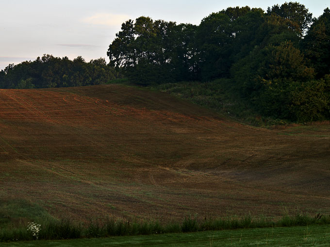 Grønderup