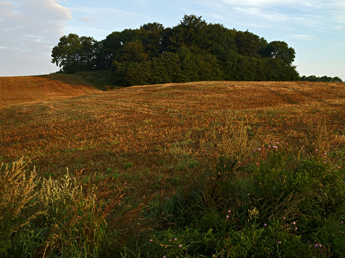 Grønderup