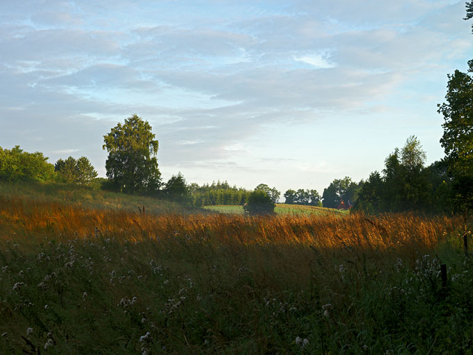 Grønderup