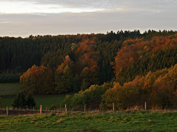 Lützkampen 4