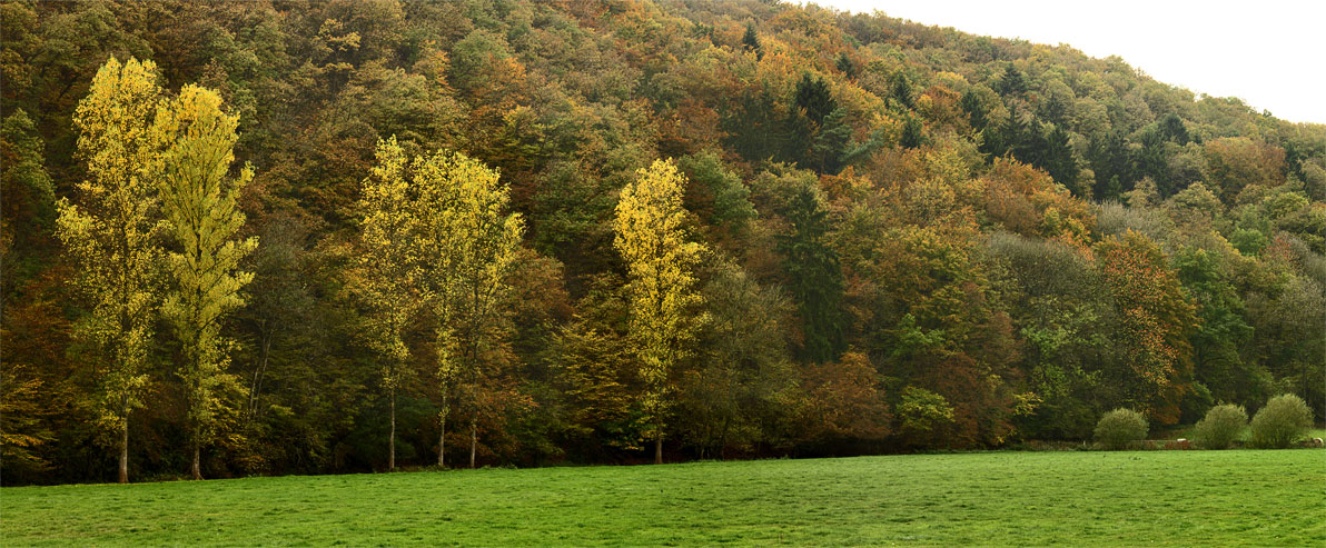 Neuerburg