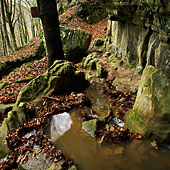 Luxembourg, West of Berdorf