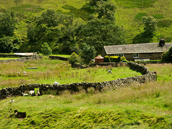 Garsdale 5