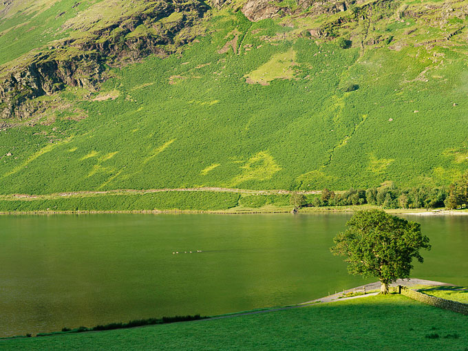 Buttermere 23