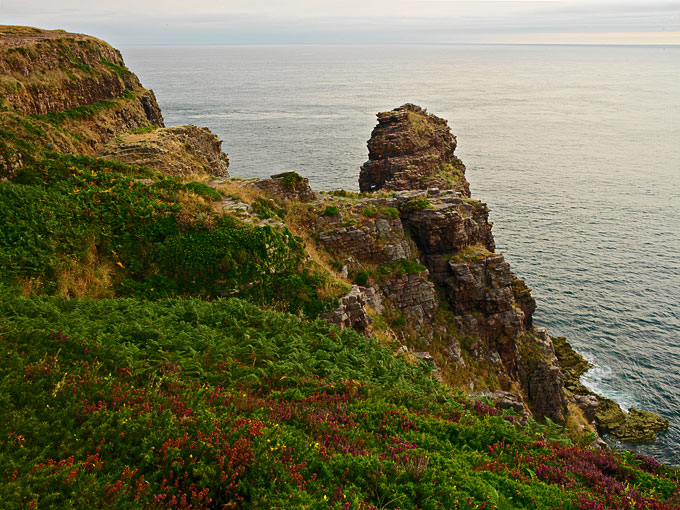 Cap Fréhel