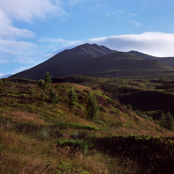 Ben Lawers 7