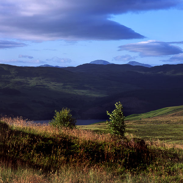 Ben Lawers 8