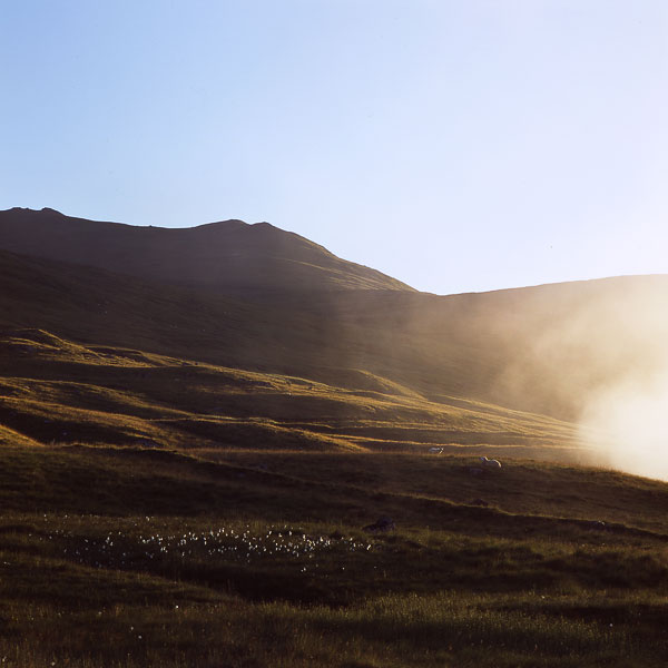 Ben Lawers 11