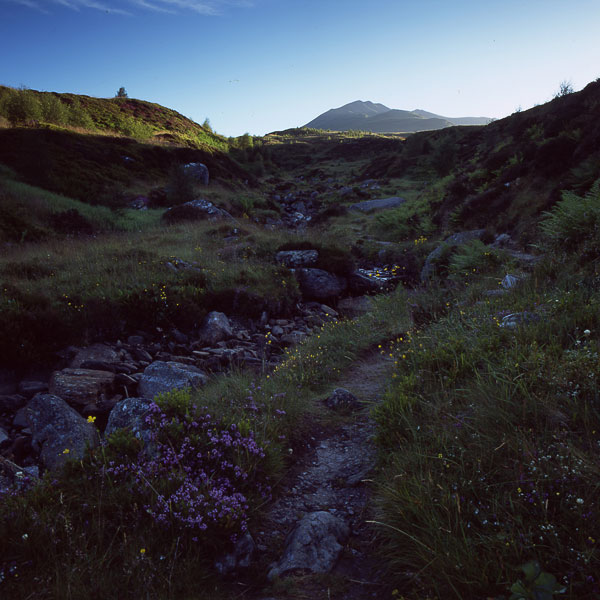 Ben Lawers 17