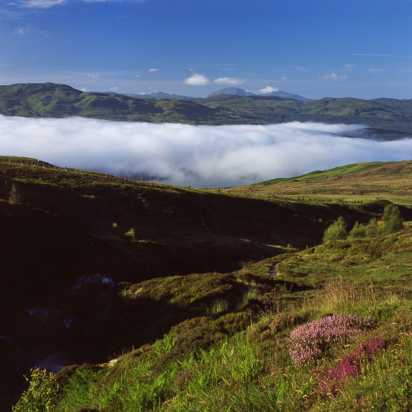 Ben Lawers 19