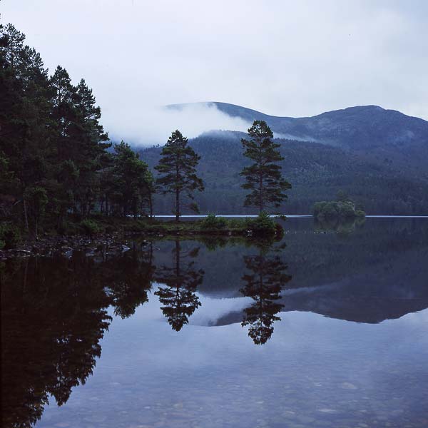 Loch an Eilein 4