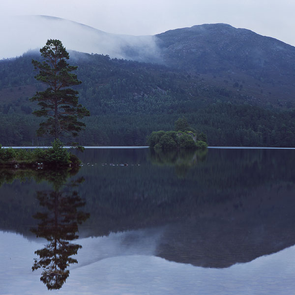 Loch an Eilein 5