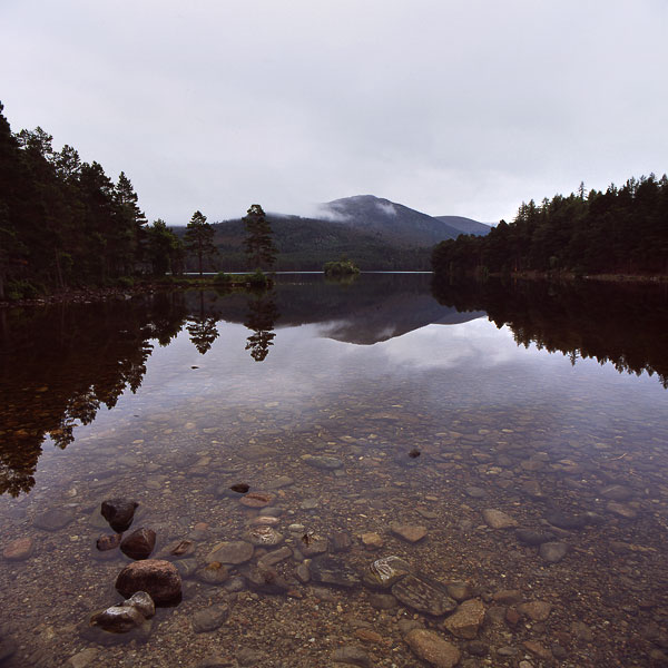 Loch an Eilein, Rothiemurchus estate