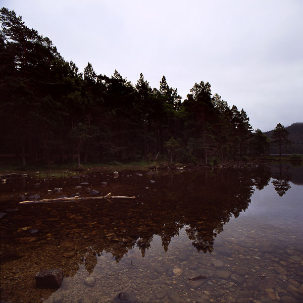 Loch an Eilein 7