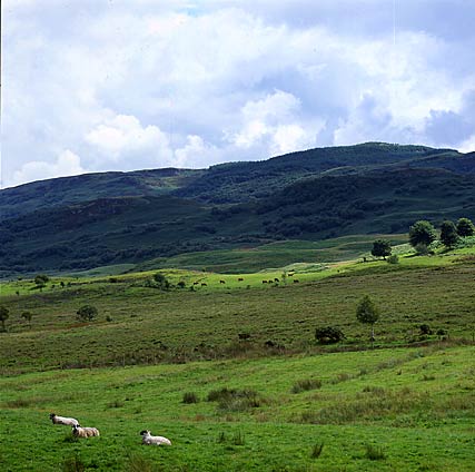 Connol, Argyll, Scotland