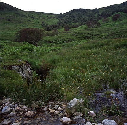 Glen Rosa 6