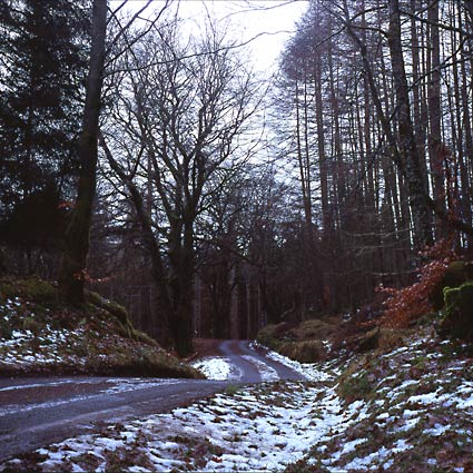 	Strathyre	 width=