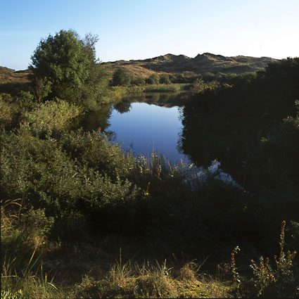 	Katwijk	7	