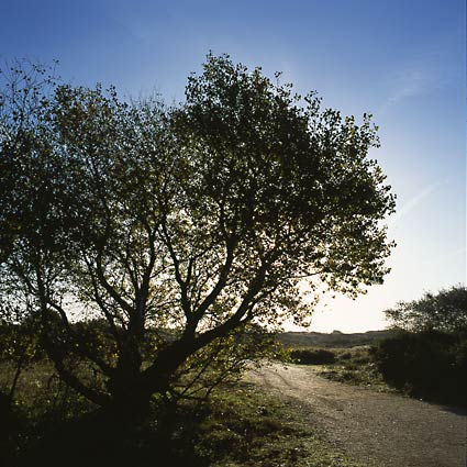 	Katwijk	9	