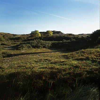 	Katwijk	10	