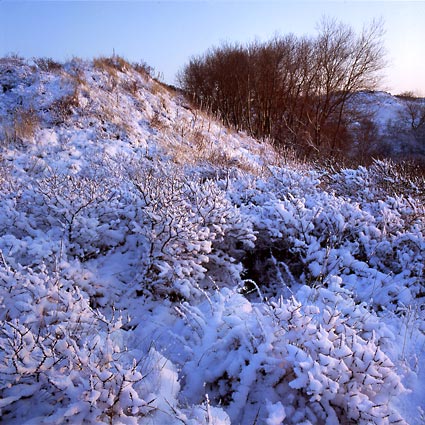 	Katwijk	17	