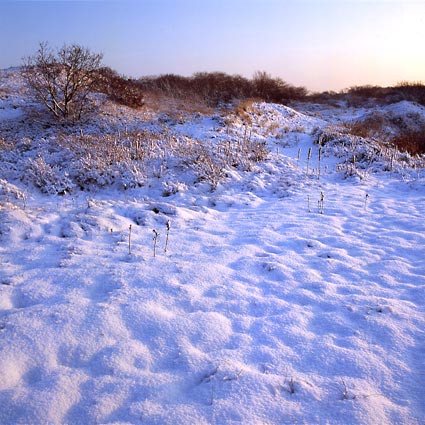 	Katwijk	18	