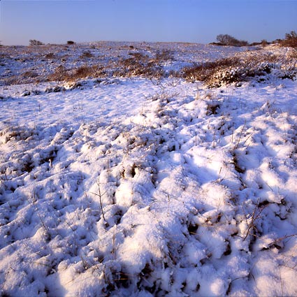 	Katwijk	19	