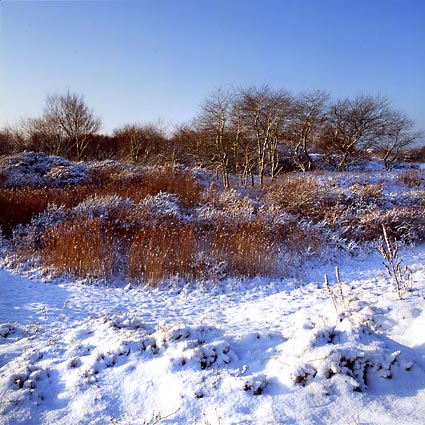 	Katwijk	24	