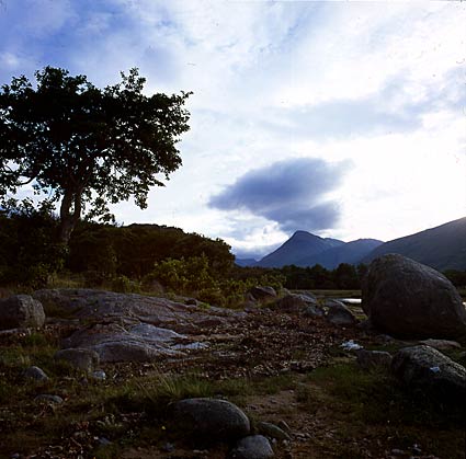 Glen Etive 12