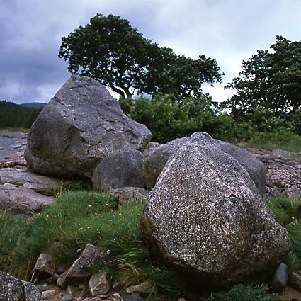 Glen Etive 14