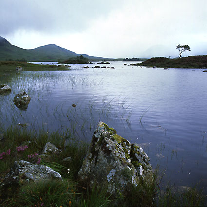 Rannoch Moor 9