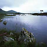 Rannoch Moor