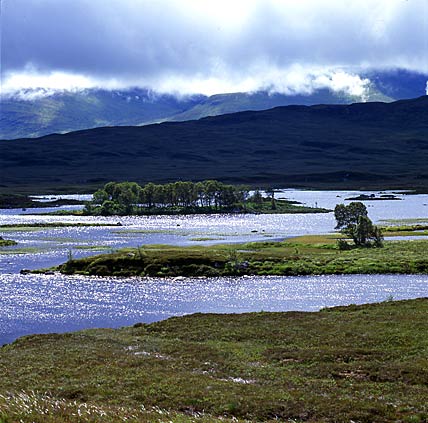 Rannoch Moor 8