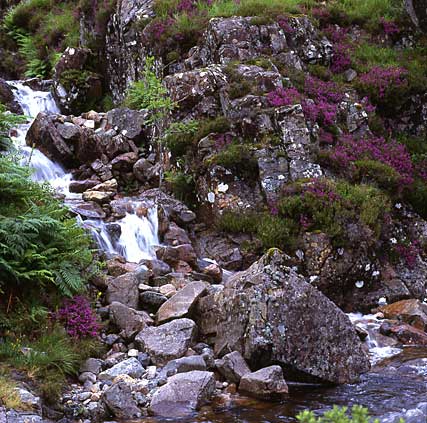 Glen Coe 6