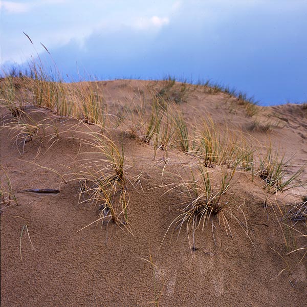 Aekinger Zand 2