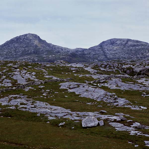 Manais panorama