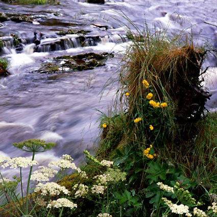 Tyndrum7