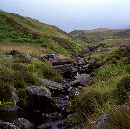 Ben Lawers 5