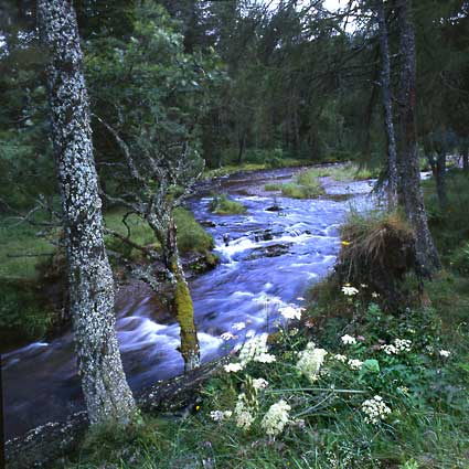 Tyndrum 3