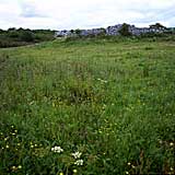 Caherconnell ringfort