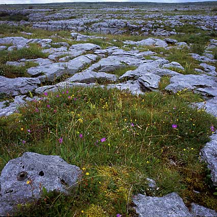 Caherconnell 5