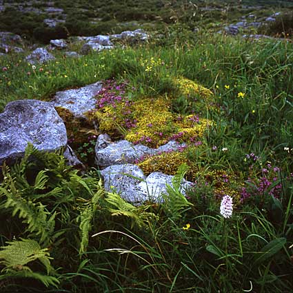 Caherconnell 2