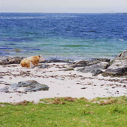 Ballyconneely, County of Galway, Ierland