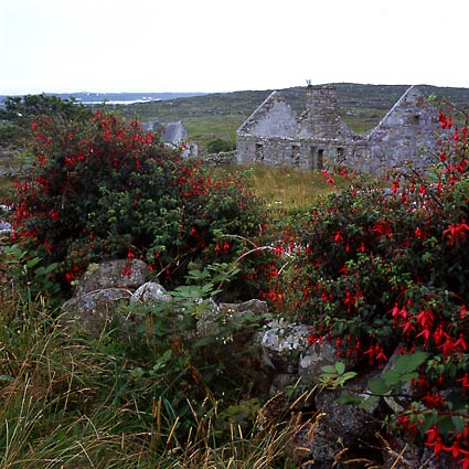 Glinsk, County of Galway, Ireland