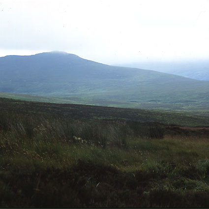 Sally Gap, county of Wicklow, Ireland