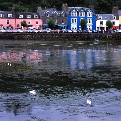 Tobermory 2