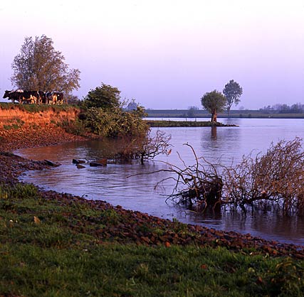 Lexmond, the Netherlands