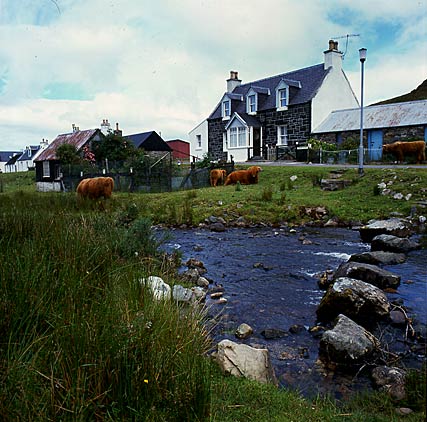 Schotland, Wester Ross, Druimbuie